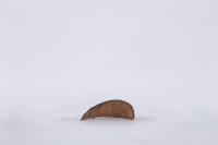 藏品(椰子殼湯匙、椰殼匙)的圖片