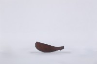 藏品(椰子殼湯匙、椰殼匙)的圖片