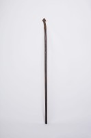 藏品(長矛)的圖片