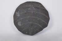 藏品(石板雕刻)的圖片