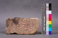 藏品(SK34磚)的圖片