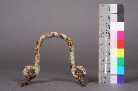 藏品(門把)的圖片