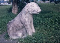 藏品(石豬)的圖片