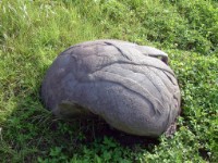 藏品(天長地久)的圖片