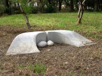 藏品(仙女的樂園)的圖片