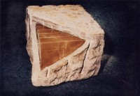 藏品(環境主義)的圖片