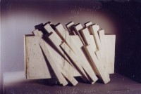 藏品(下雨的石頭)的圖片