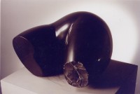 藏品(曲)的圖片