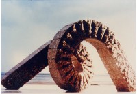 藏品(律動)的圖片