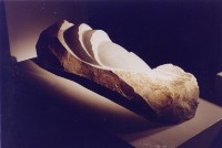 藏品(再生)的圖片