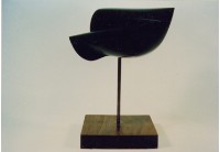 藏品(夜)的圖片