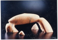 藏品(大地生機)的圖片