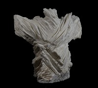 藏品(迎風)的圖片