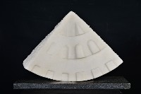 藏品(震盪)的圖片