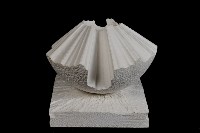 藏品(生命的起源-哥尼加)的圖片