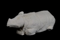 藏品(犀牛)的圖片
