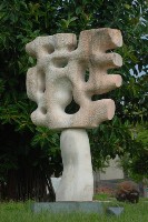 藏品(樹影)的圖片