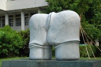 藏品(回)的圖片