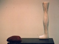 藏品(宇宙的後花園)的圖片