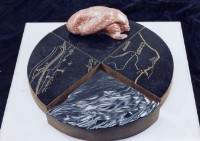 藏品(海洋物語)的圖片