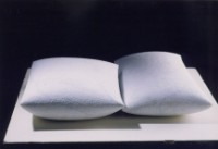 藏品(個體NO.89)的圖片