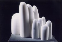 藏品(家族)的圖片