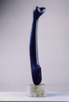 藏品(獨角仙)的圖片