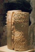 藏品(安全之地)的圖片