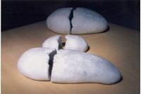 藏品(軌跡)的圖片