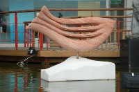 藏品(如魚得水系列)的圖片