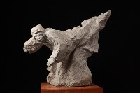 藏品(空手道)的圖片