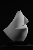 藏品(飛舞展翅)的圖片