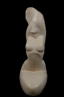 藏品(人體)的圖片