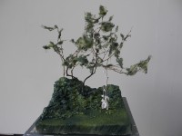 藏品(樹精靈)的圖片