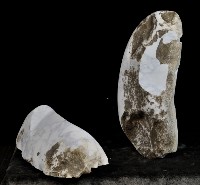 藏品(母親)的圖片