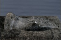 藏品(寧靜的午後)的圖片