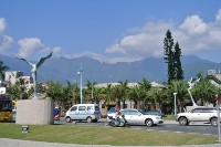 藏品(天使之翼)的圖片