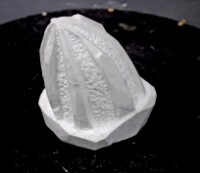 藏品(俄羅斯之竹)的圖片