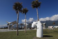 藏品(自然的本質)的圖片