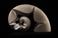 藏品(海貝)的圖片