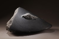 藏品(漂浮之島)的圖片