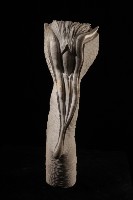 藏品(大樹論)的圖片