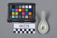 藏品(湯匙)的圖片