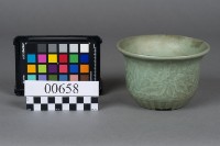 藏品(盆)的圖片