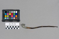 藏品(旱煙桿)的圖片