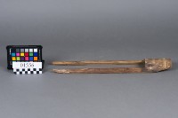 藏品(蝦挑)的圖片