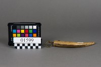 藏品(折刀)的圖片