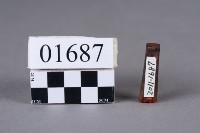 藏品(印)的圖片