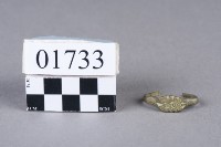 藏品(戒指)的圖片