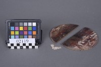 藏品(木構件)的圖片